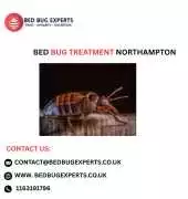 Where to Find Bed Bug Treatment Northampton?, Leicester