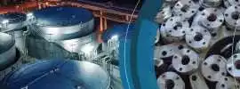 Brida ASTM A182 F5, Balsicas