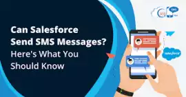 Top Salesforce Send Text Message Features for USA , Los Angeles