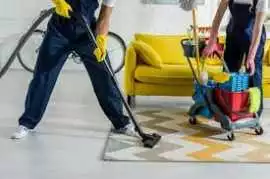 Eco-Friendly Carpet Cleaning in Craigie, Perth