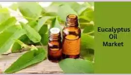 Global Eucalyptus Oil Market: Natural Solutions, Delhi