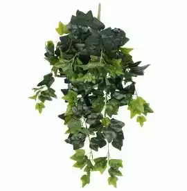 Bring Green Elegance to Newer Heights with Plants, $ 35