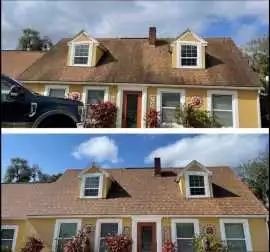 Professional Roof Washing, Austin