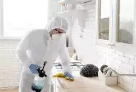 Pest Control Services in London | Amyka, City of London