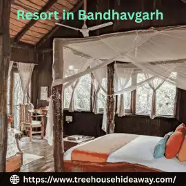 Luxury Tree House Resort in Bandhavgarh , Khajuraho Group of Monuments