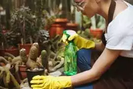 Commercial Green Cleaning in Sydney | Hope Cleanin, Sydney