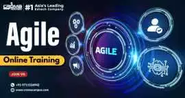 Best Agile Online Training Courses in 2025, Noida