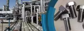 Sujetadores de acero inoxidable 316L, Acala del Rio