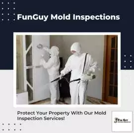 Mold Removal Company Near Me – Funguy Inspections, Los Angeles