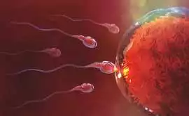 Selecting the Best Fertility Clinic in Dubai, Dubai