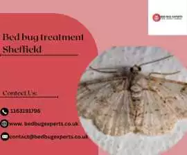 Bed bug treatment Sheffield ?, Leicester