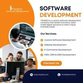 Web Development Company in Faridabad, Faridabad