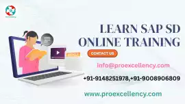 ???? What Is SAP SD Online? (With Features and Imp, Bengaluru