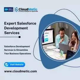 Expert Salesforce Development Services, New Rochelle