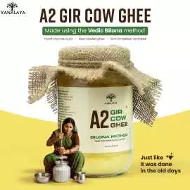 Buy Pure A2 Gir Cow Bilona Ghee | Vanalaya – Tradi, $ 0