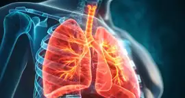 Reliable Lungs Specialist Doctor in Siliguri Avail, Siliguri