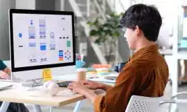 Professional WordPress Website Customization Servi, Noida