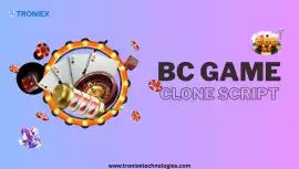 BC Game Clone Script for Sale – Start Your Casino , Madurai