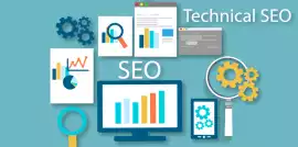 Premium SEO Link Building Services in India, Los Angeles