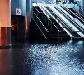 Efficient Flood Damage Restoration Services at You, Toronto