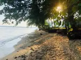 Land For Sale in Siargao – Your Perfect Investment, Manila