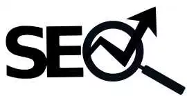 Best SEO Marketing Firm in Delhi | Wildnettech, Noida