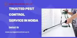 Best Pest Control Services in Greater Noida, Noida