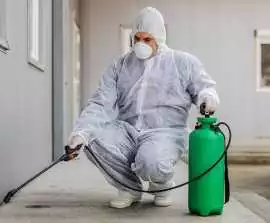 Effective Bed Bug Control Services in Nottingham, Leicester