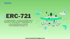 ERC721 Token Solutions for Scalable NFT Platforms, Madurai