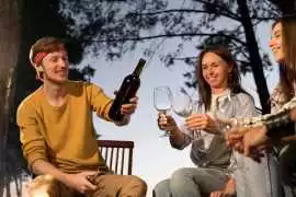 Discover the Best Wine Tours in Perth, Perth