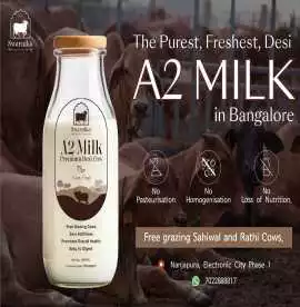 GET PURE COW MILK IN ELECTRONIC-CITY   , $ 120