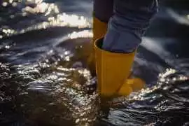 Professional Water Damage Restoration Services, Ormond Beach