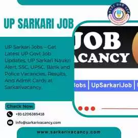 UP Sarkari Job – Latest Government Job Vacancies in Uttar Pradesh 2025, ¥ 30,000, Noida