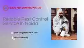 Reliable Pest Control Services in Noida, Noida