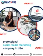 Professional Social Media Marketing Company , Phoenix