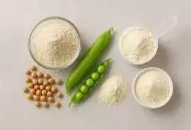 Plant Protein vs Whey Protein: Which One Is Best f, $ 1