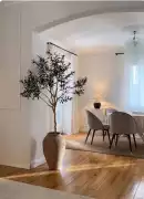 Brand-new 2 BHK flat for sale in Bangalore! , $ 2,141,466