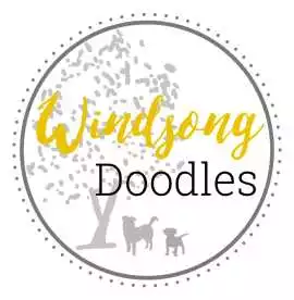 Goldendoodle Puppies For Sale California | Windson, California City