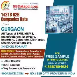 Top List of Companies in Gurgaon in Excel Format, Delhi