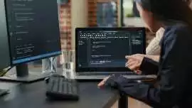 Custom Software Development Company in Chicago, Chicago
