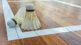 Affordeble Price Badminton Court Flooring | Gravol, € 20