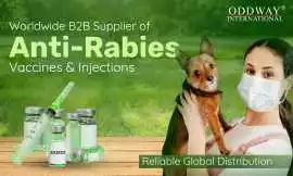 Trusted B2B Wholesale Supplier Anti Rabies Vaccine, Quezon City