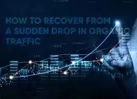 How to Recover from a Sudden Drop in Organic , Gurgaon