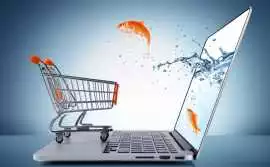 Key Reasons to Develop an eCommerce Platform, Jaipur