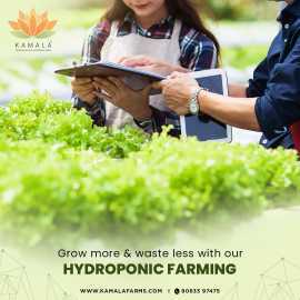 Economic Benefits of a Fully Automated Hydroponic, Hyderabad