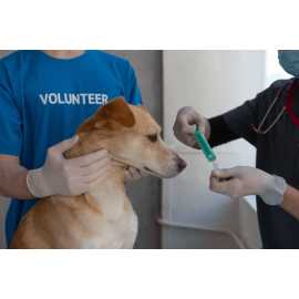 Trust Pet Blood and Wellness Labs Boynton Beach, F, Boynton Beach