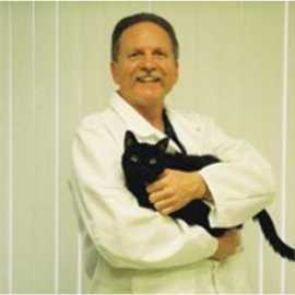 Best Palm Beach Animal Hospital, Boynton Beach