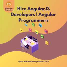 Hire Dedicated AngularJS Developer India, California City