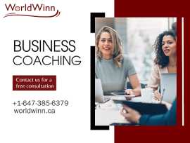 Business Coach Toronto - WorldWinn Consulting, Mississauga