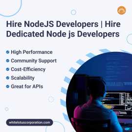Top Nodejs Development Company, California City